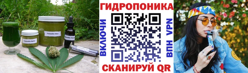 сколько стоит  Южно-Сухокумск  Cannafood конопля 