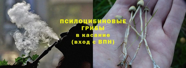 ешки Алзамай