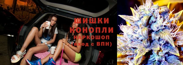 ешки Алзамай
