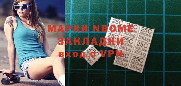 хмурый Алексин